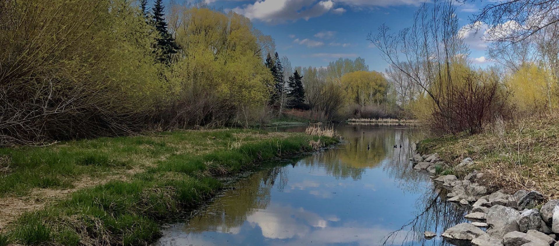 Calgary confederation park banner