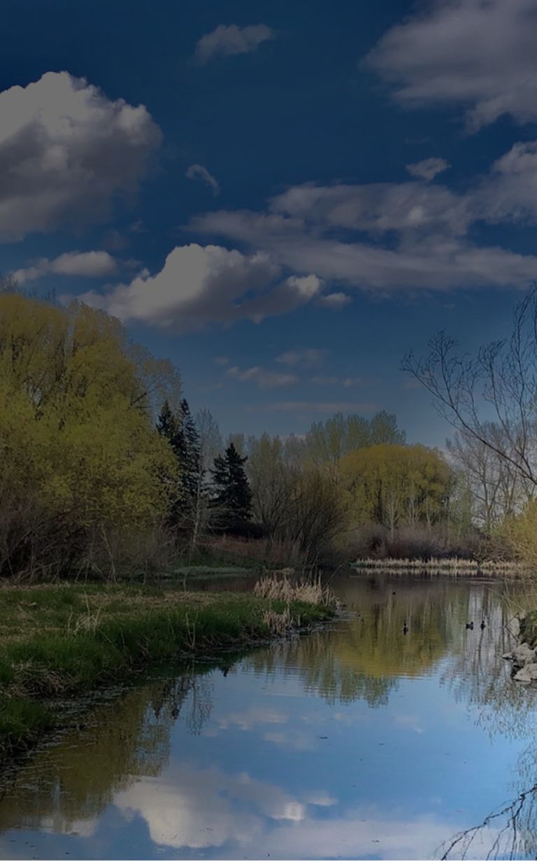 Confederation park banner sm