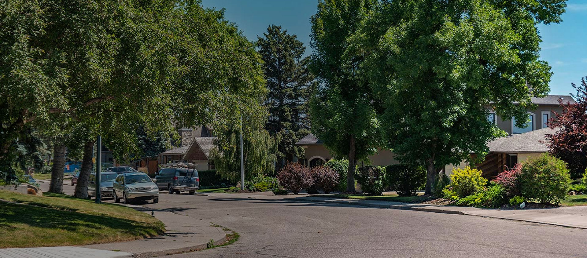 Hounsfield heights banner 1