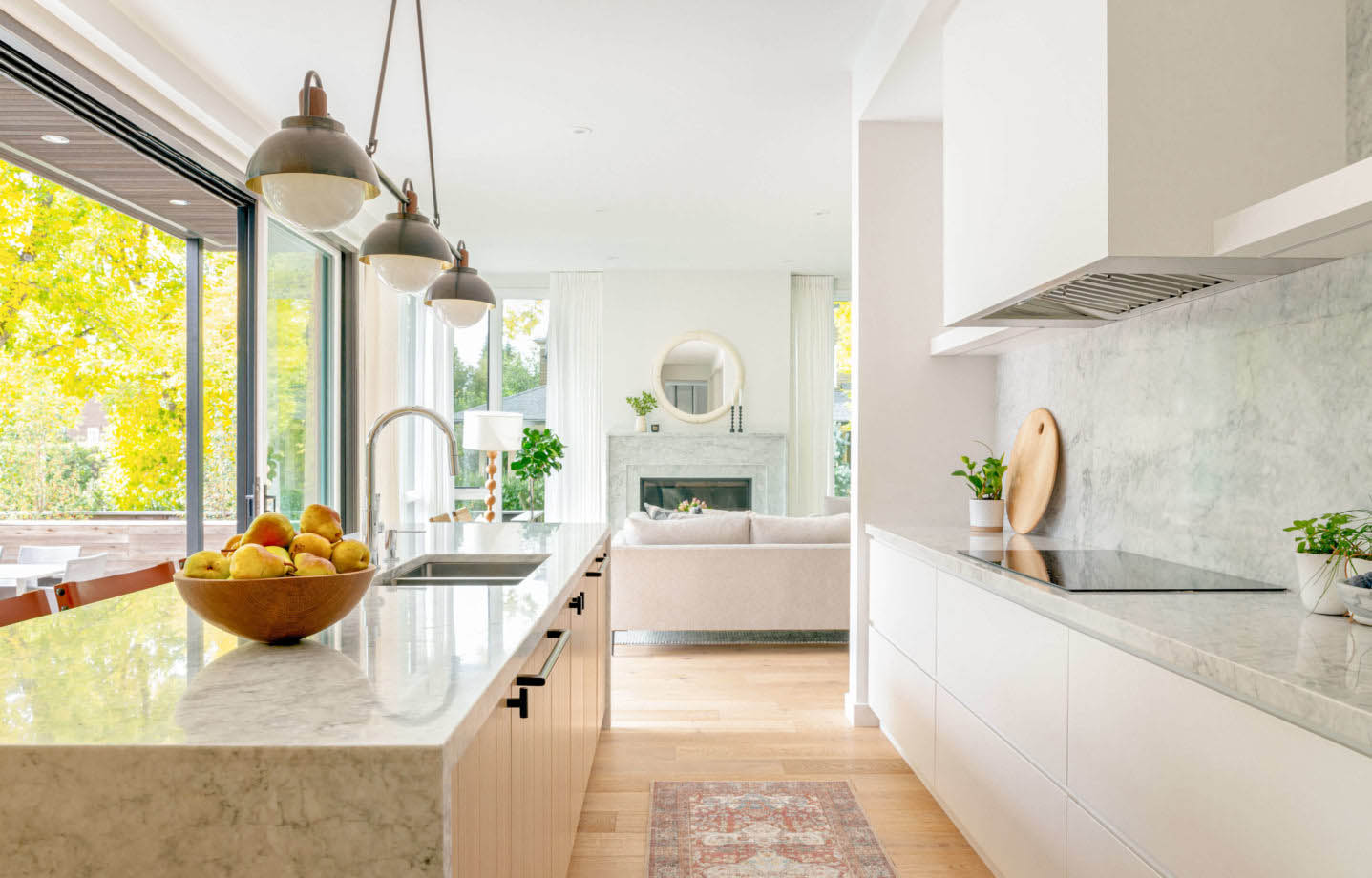 19 alloyhomes 1604riverdedge kitchen 009