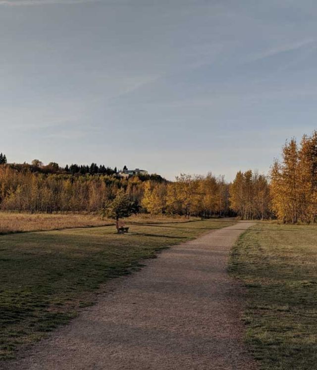 Laurier heights thumbnail resized