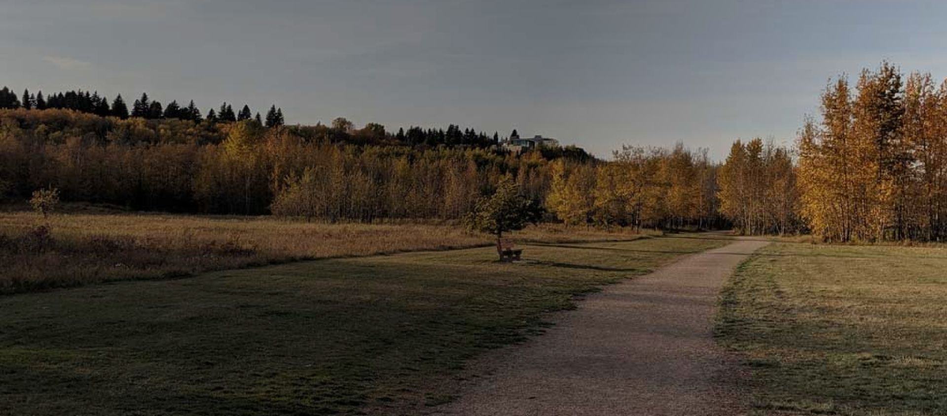 Laurier heights banner
