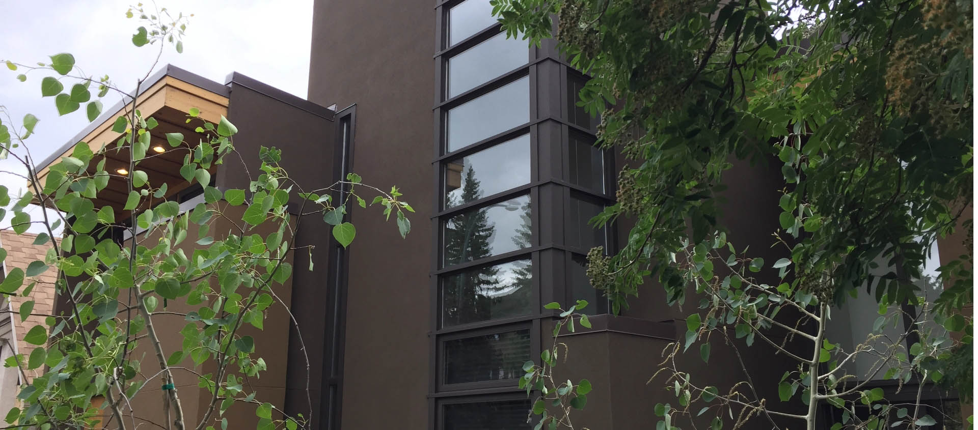 Library house banner